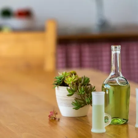 Villa Katja By Guide Peruški