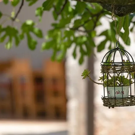 Villa Katja By Guide *